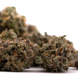 Dried Sour Runtz Indoor THCA Flower with trichomes and orange hairs for therapeutic potential