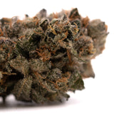 Dried Sour Runtz Indoor THCa Flower with trichomes and orange pistils for therapeutic potential