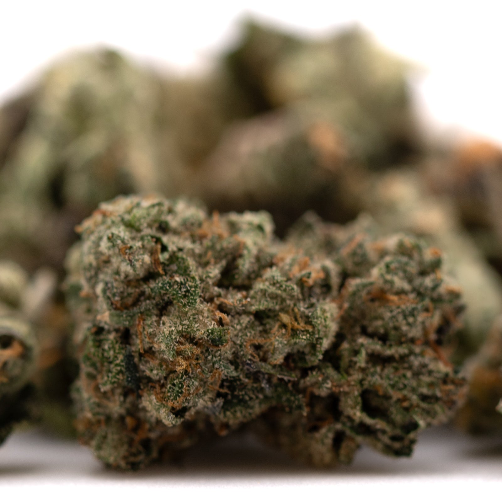 Close-up of dense green Sour Runtz THCa Small indoor Runtz cannabis bud with orange hairs