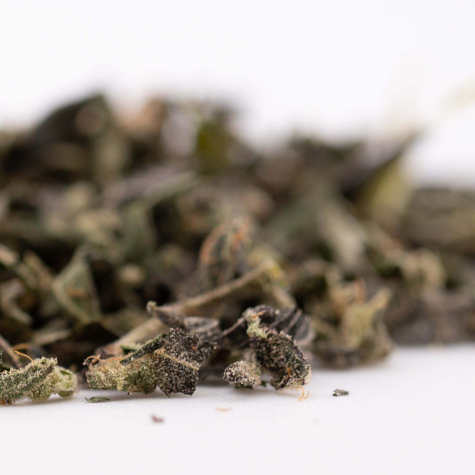 Dried green tea leaves from Sour Runtz Indoor THCA Trim with rich terpene profile