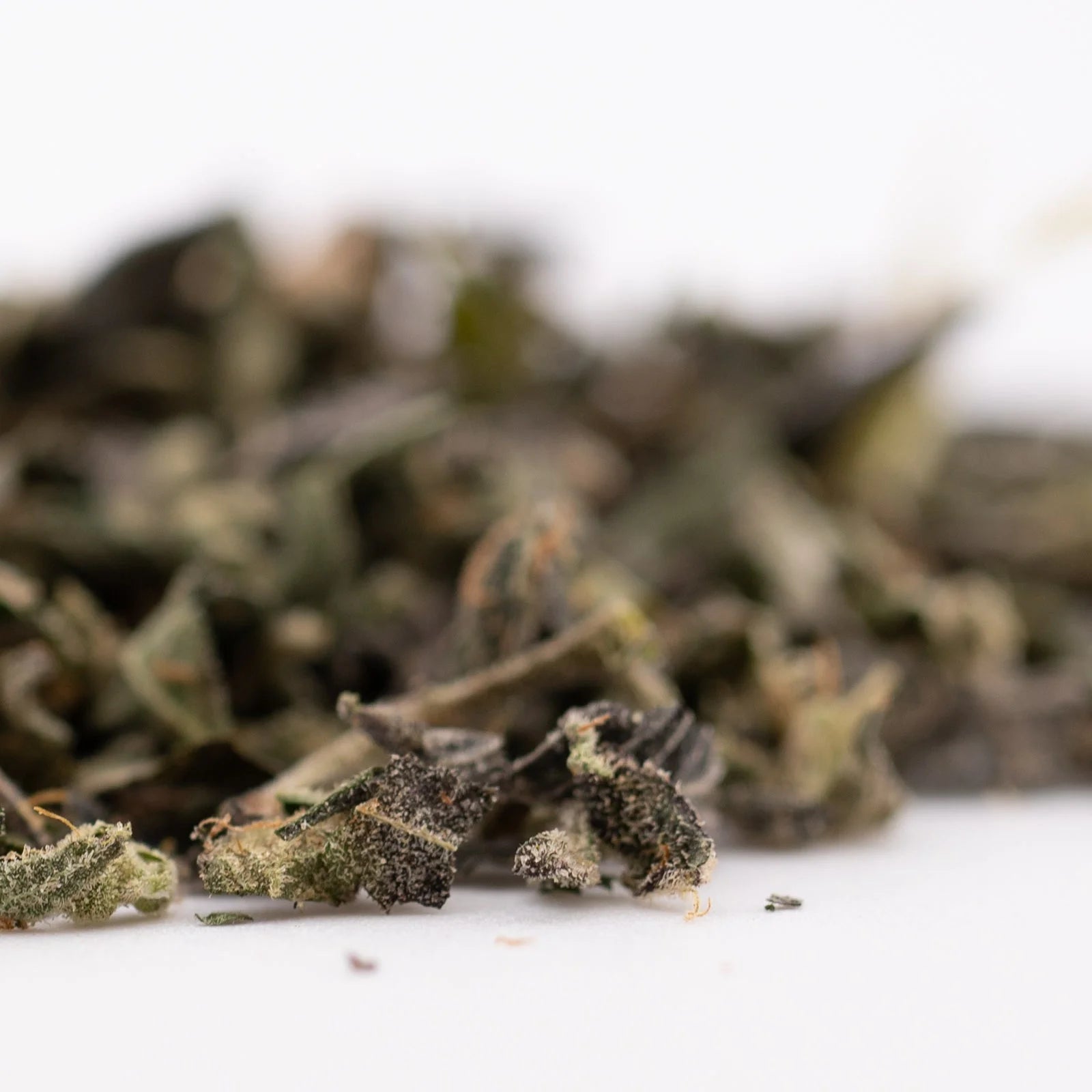 Dried green tea leaves from Sour Runtz Indoor THCA Trim with rich terpene profile