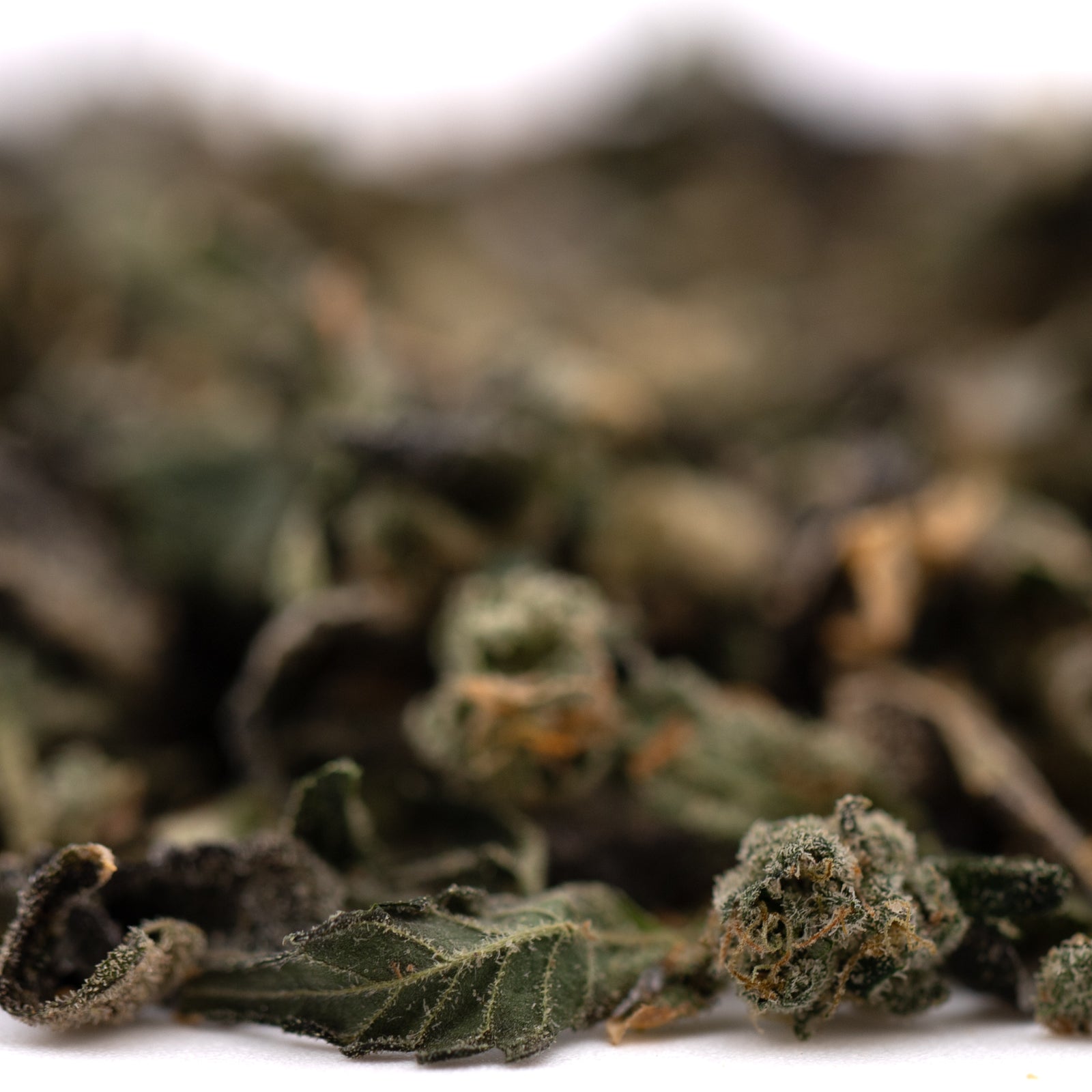 Loose-leaf green tea with dried herbs from Sour Runtz Indoor Thca Trim terpene profile