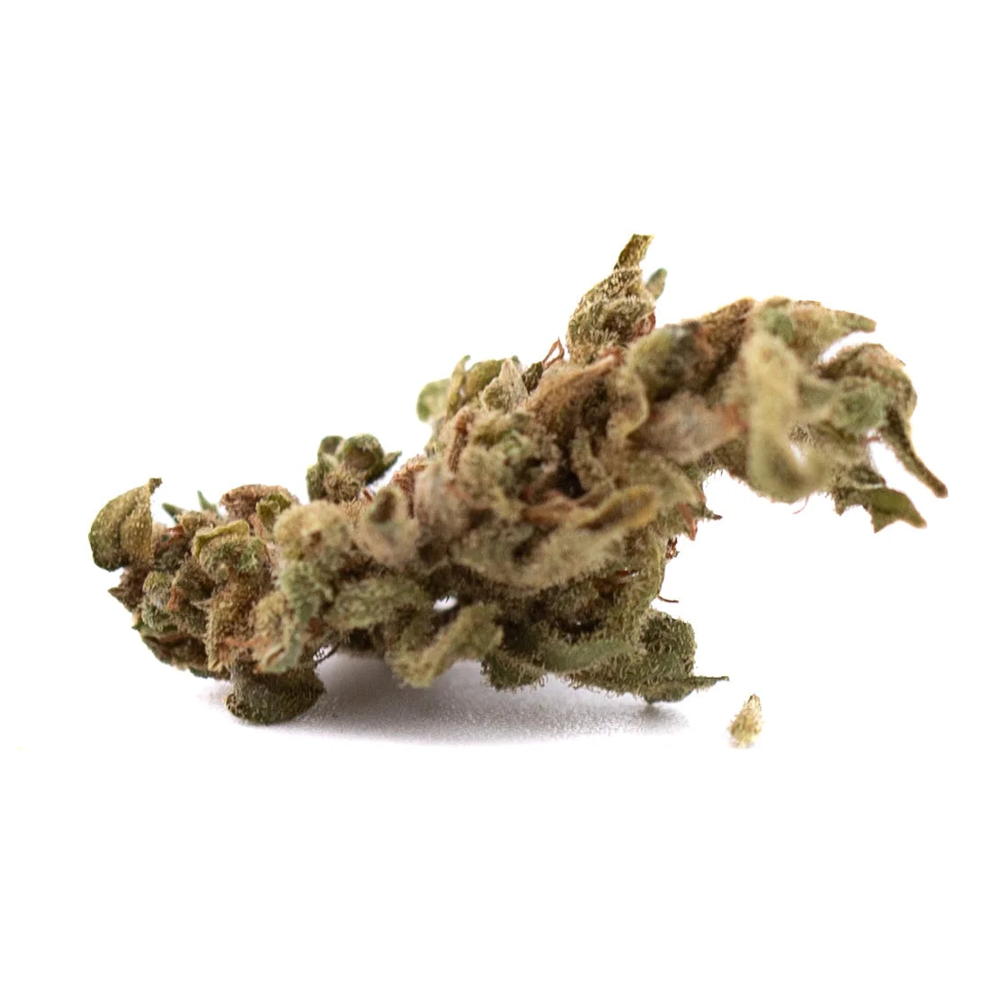 A dense green and brown sour space candy cbd hemp flower full-term smalls bud covered in textured trichomes