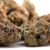 Southern Peaches THCa Flower with dried cannabis buds, orange hairs, frosty trichomes