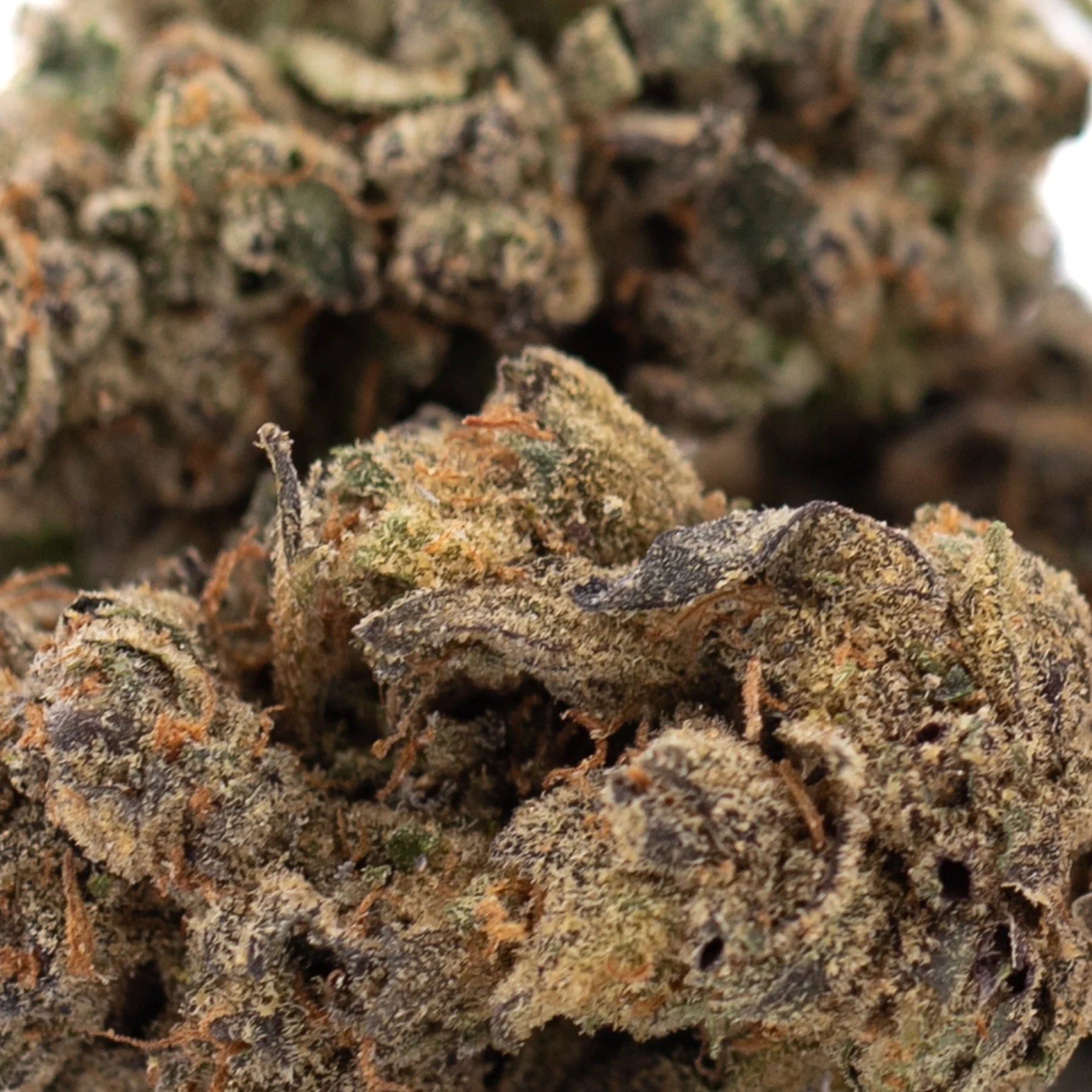 A dense green and brown space candy indoor thca flower bud covered in fine trichomes for thca flower wholesale