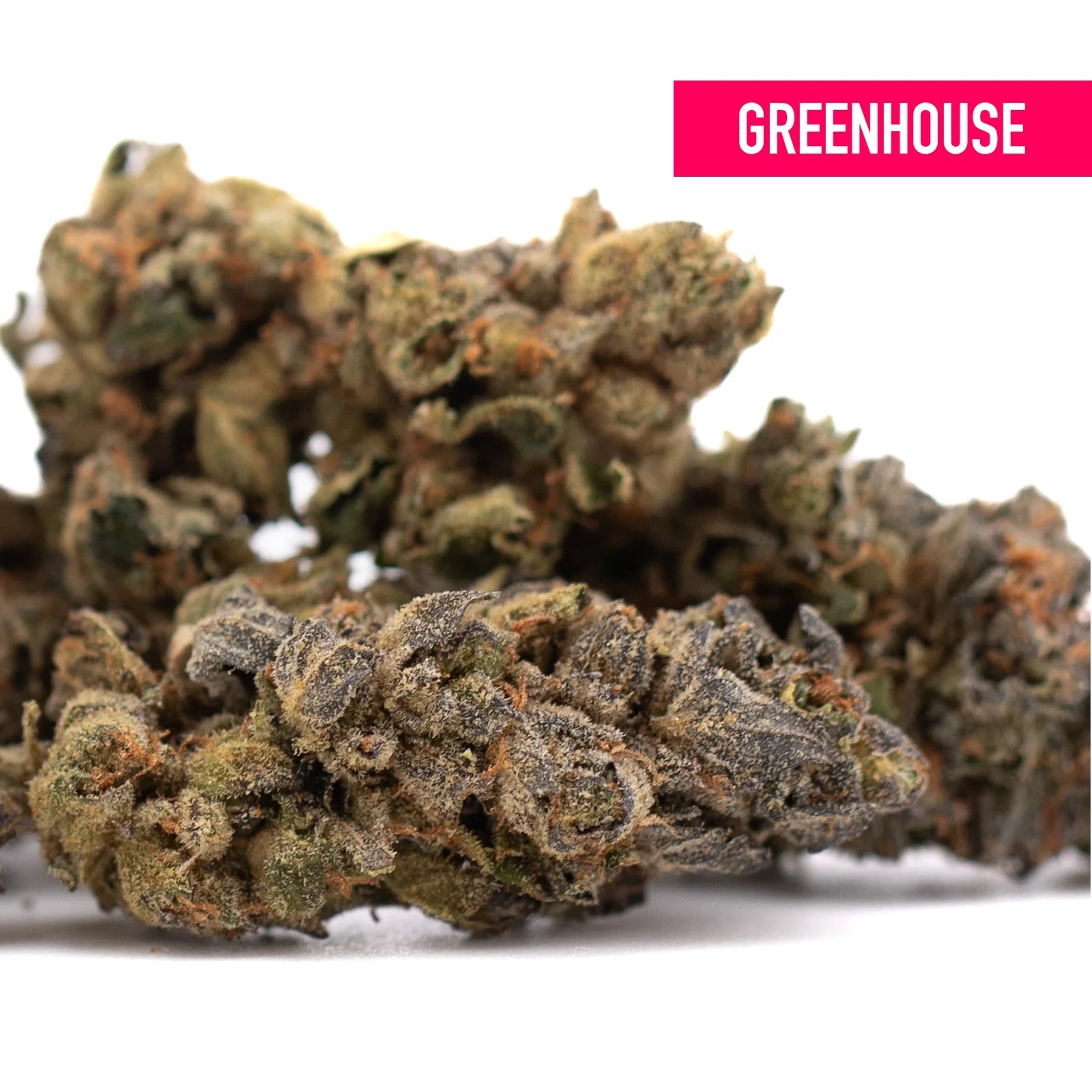 Space candy indoor thca flower hemp buds by greenhouse with dense resinous texture easing social anxiety