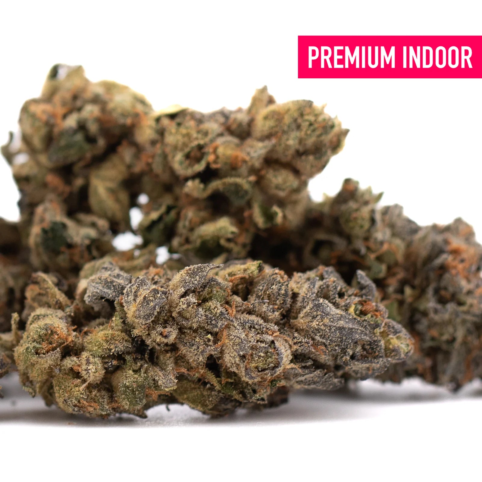 Premium indoor thca flower space candy with dense frosty trichomes and green brown orange hues for thca flower wholesale