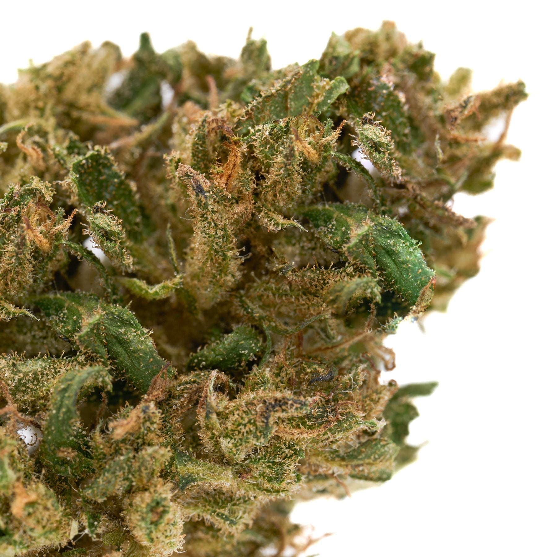 Close-up of Spectrum CBD Hemp Flower with green leaves, orange hairs, and trichomes