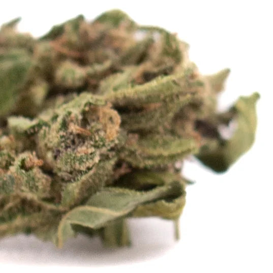 A dense green spectrum cbd hemp flower bud covered in trichomes and brown pistils for harle tsu use