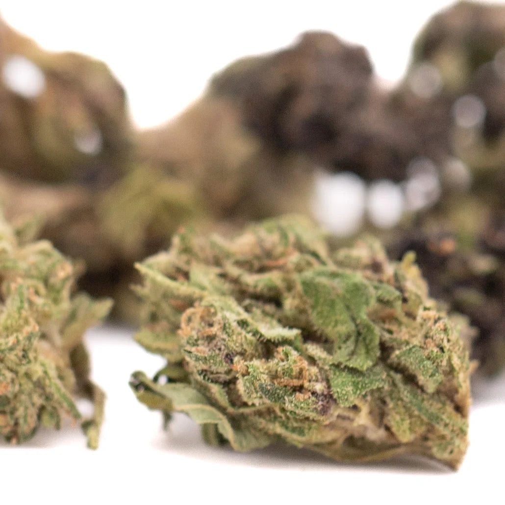 A dense green spectrum cbd hemp flower bud covered in trichomes with orange pistils ideal for harle tsu use