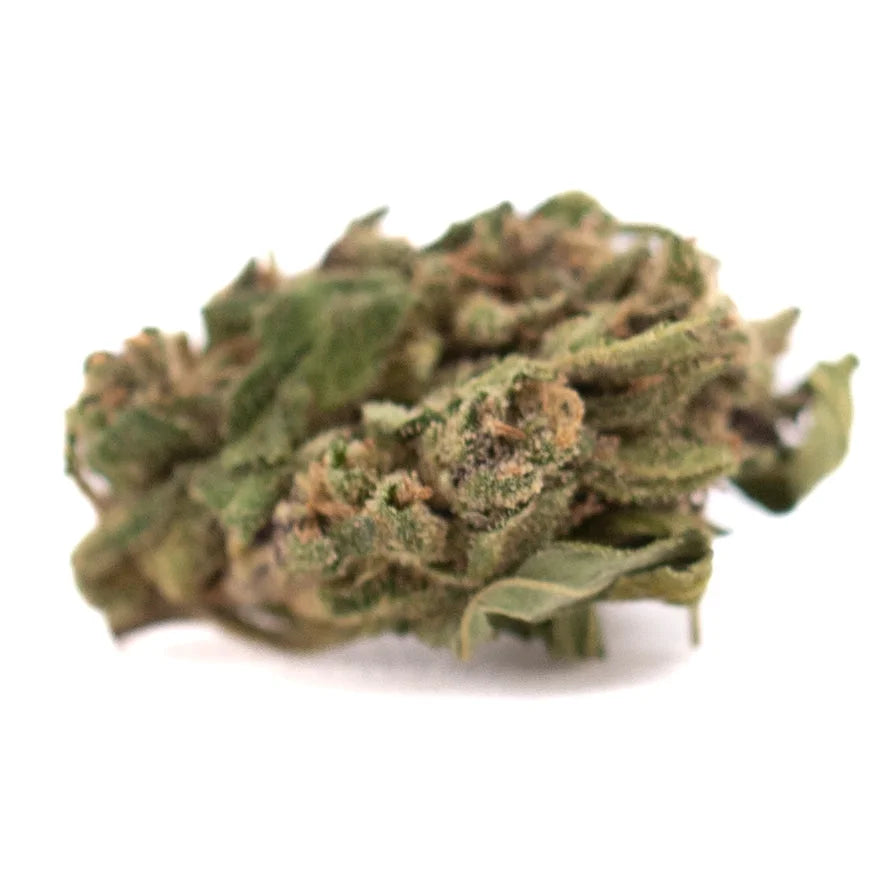 A dense green spectrum cbd hemp flower bud with fine trichomes and amber hints in harle tsu strain close up
