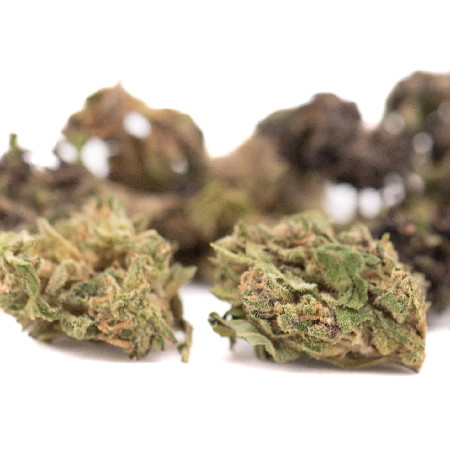 Green and brown spectrum cbd hemp flower full-term smalls buds with textured leafy surface for harle tsu or auto tsunami