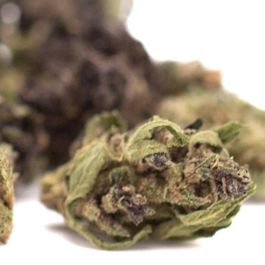 A dense green spectrum cbd hemp flower bud with dark purple trichomes in harle tsu full-term smalls wholesale