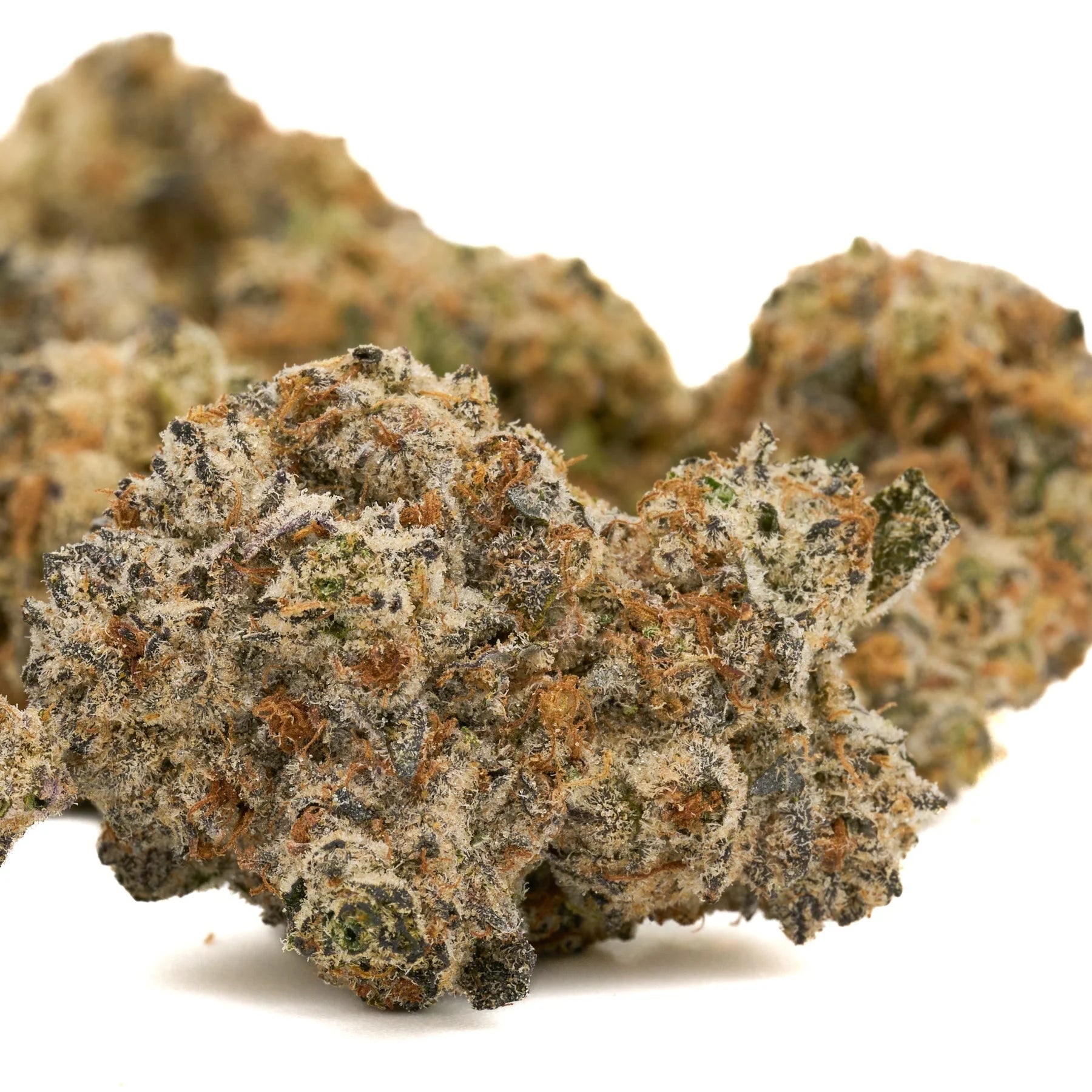 Star Child Indoor THCa Flower with interstellar overdrive cannabis buds coated in trichomes