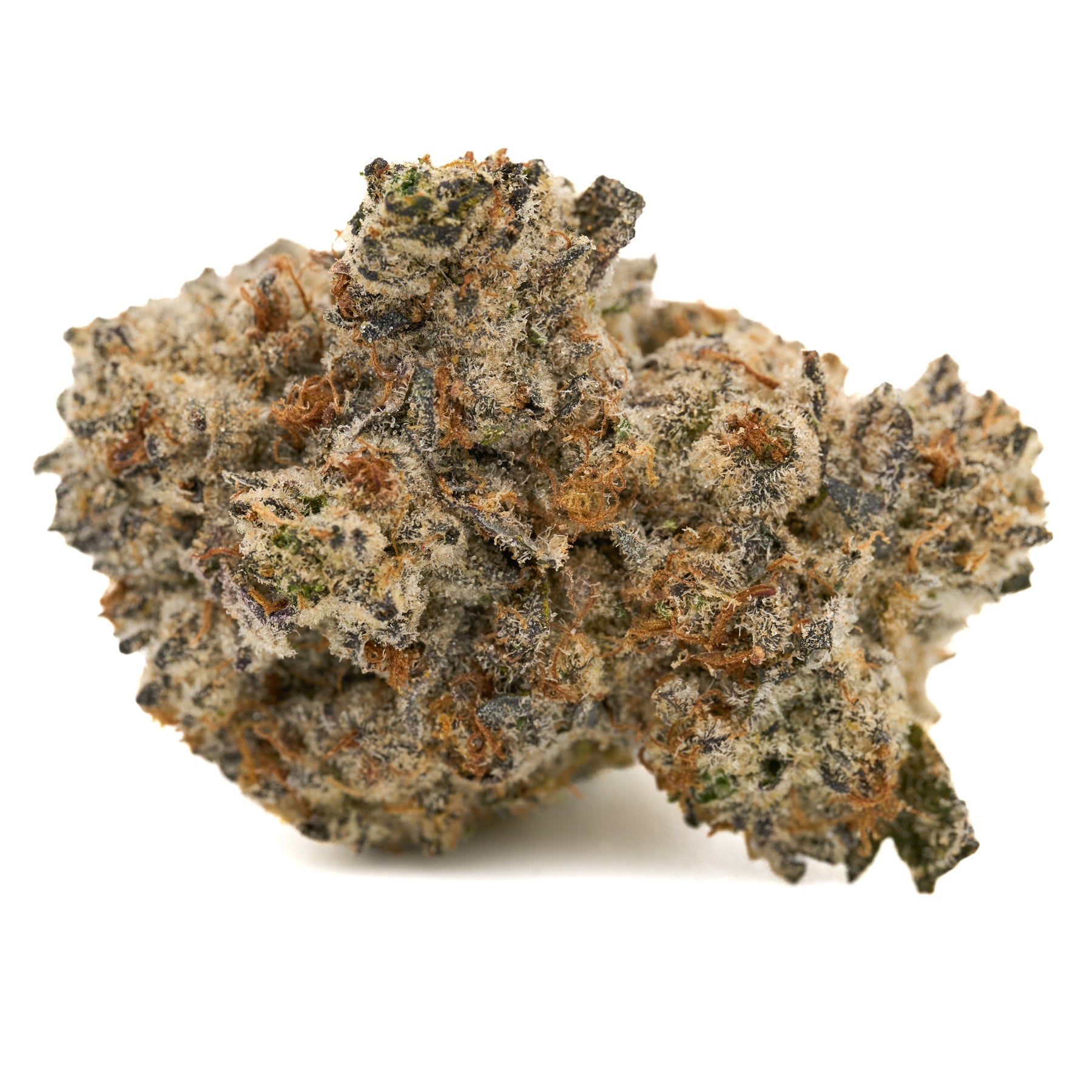 Dense frosty Star Child Indoor THCa Flower with interstellar overdrive hues and orange hairs