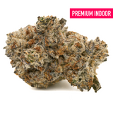 Interstellar overdrive Star Child Indoor THCa Flower with dense trichome-covered cannabis bud