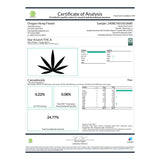 Star Krunch THCa Hemp Flower - Plants