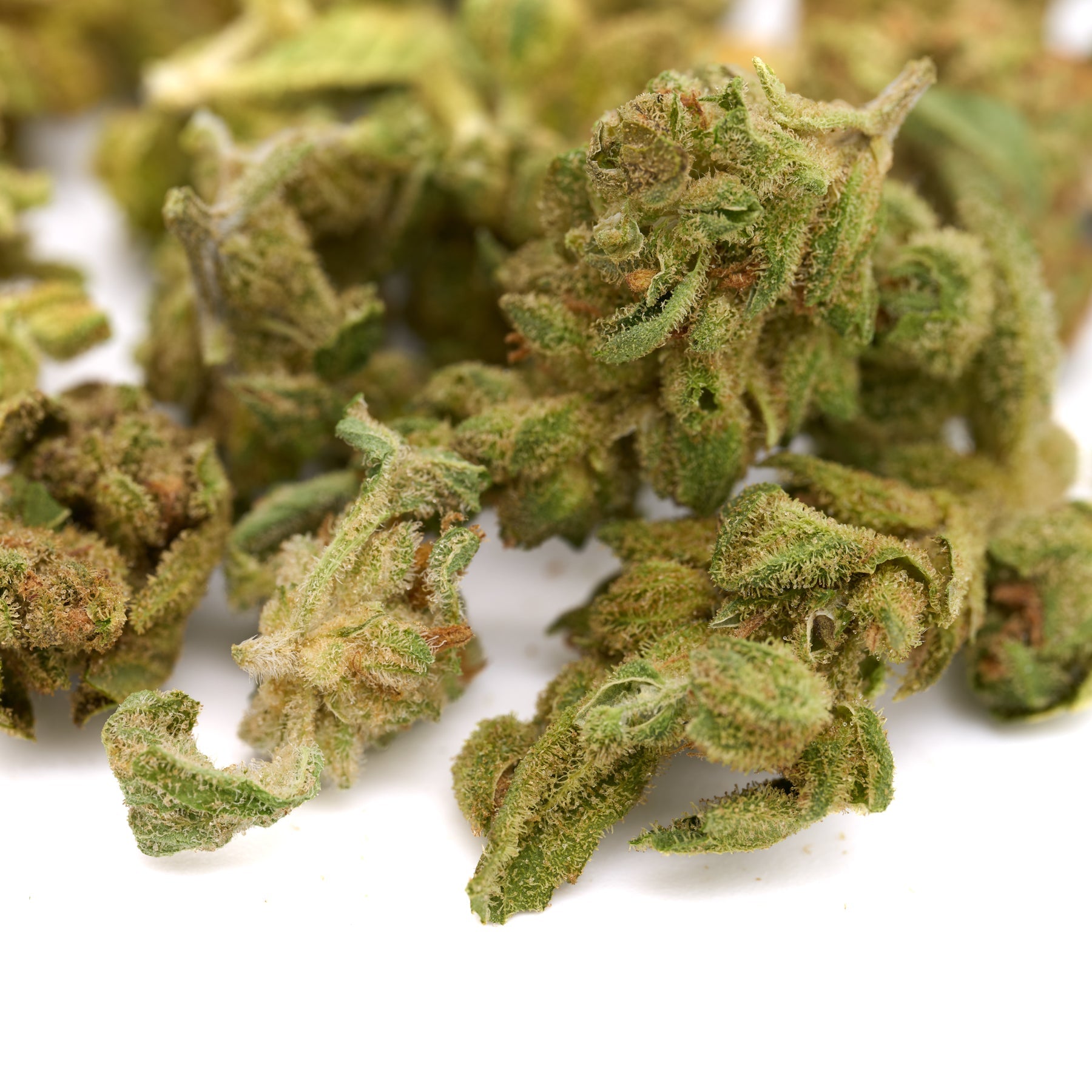 Star Krunch THCa Hemp Flower Smalls - Plants