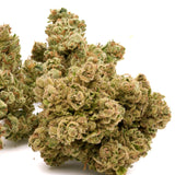 Star Krunch THCa Hemp Flower - Plants