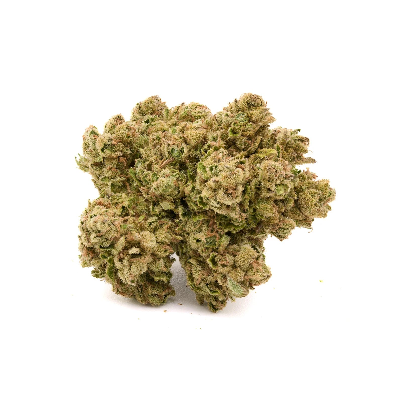 Star Krunch THCa Hemp Flower - Plants