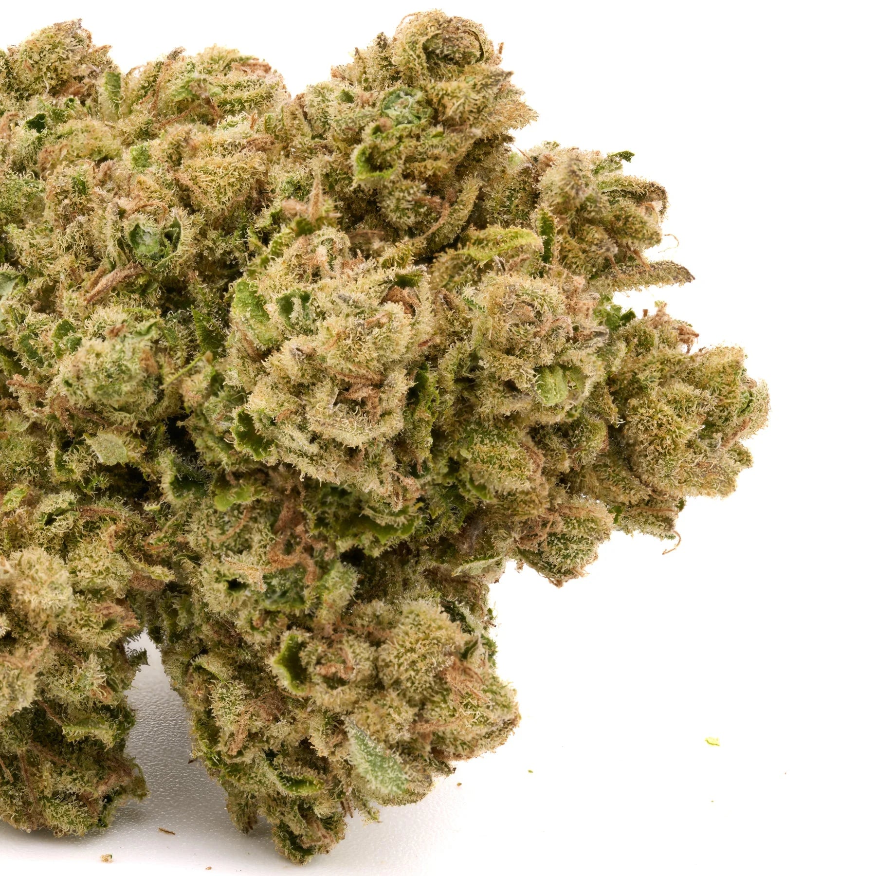 Star Krunch THCa Hemp Flower - Plants