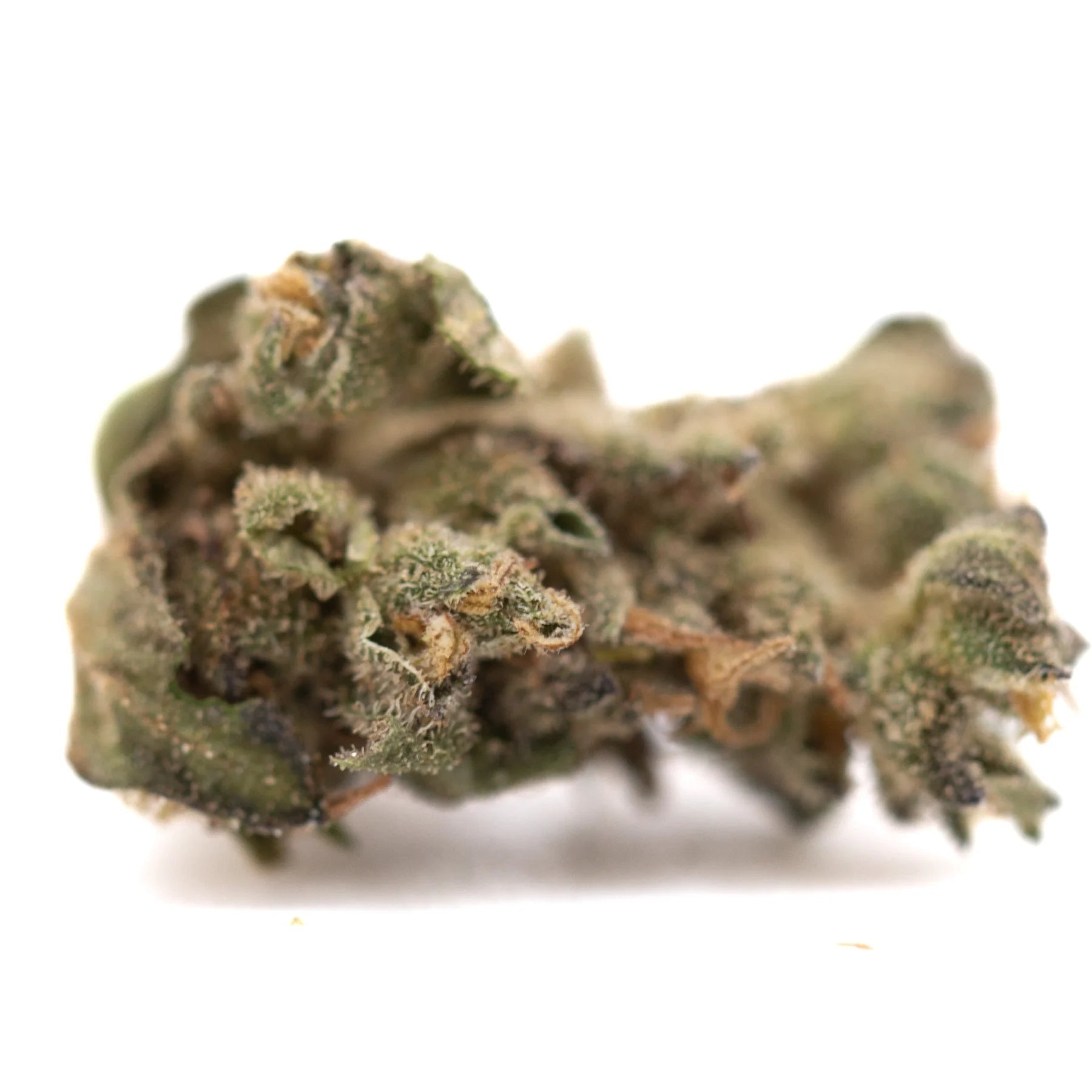 Dense green strawberry cheesecake small thca flower with trichomes and orange pistils hemp flower close-up