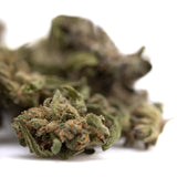 A dense green strawberry cheesecake small thca flower with fine trichomes and orange pistils in hemp flower form