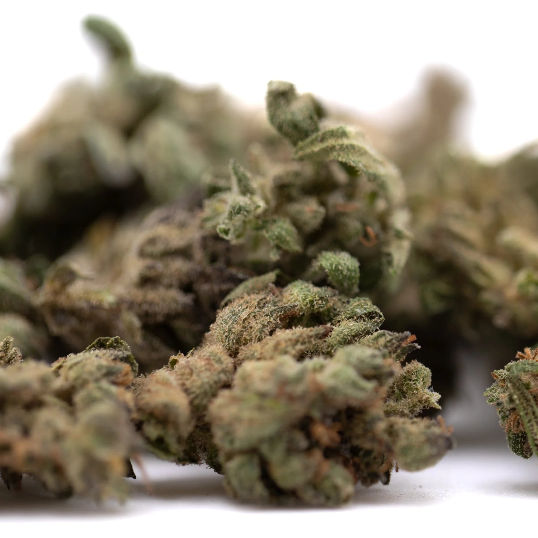 Green and brown frosty strawberry cheesecake small thca flower buds with textured surface hemp flower product close-up