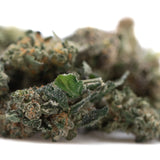 A dense green strawberry diesel indoor thca flower small with frosty white trichomes and orange pistils