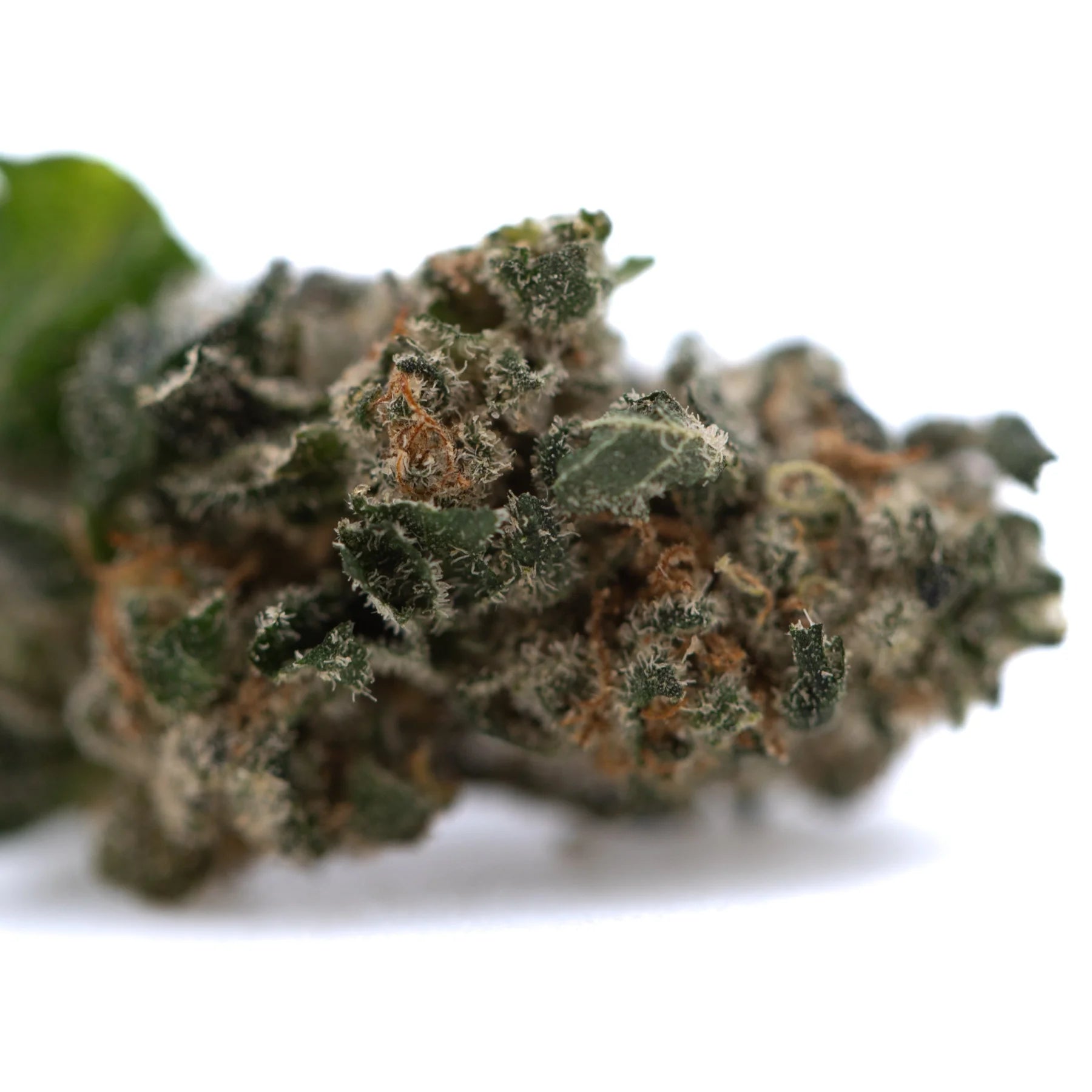 Dense green strawberry diesel indoor thca flower smalls bud with frosty white trichomes and orange pistils