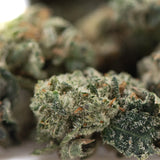 A dense green strawberry diesel indoor thca flower small with frosty white trichomes and orange pistils