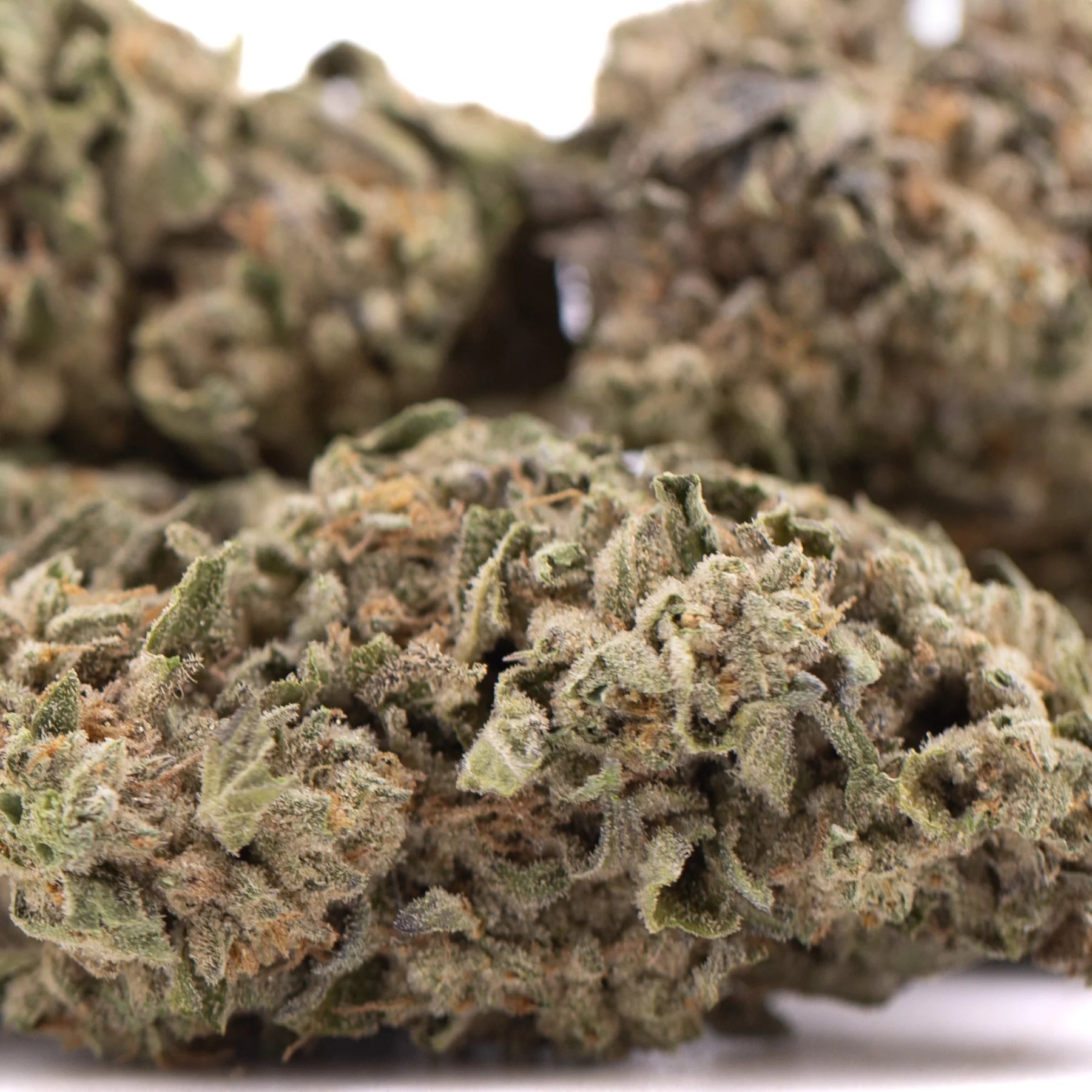 Dense green street guru indoor thca hemp flower bud with frosty white trichomes and orange pistils
