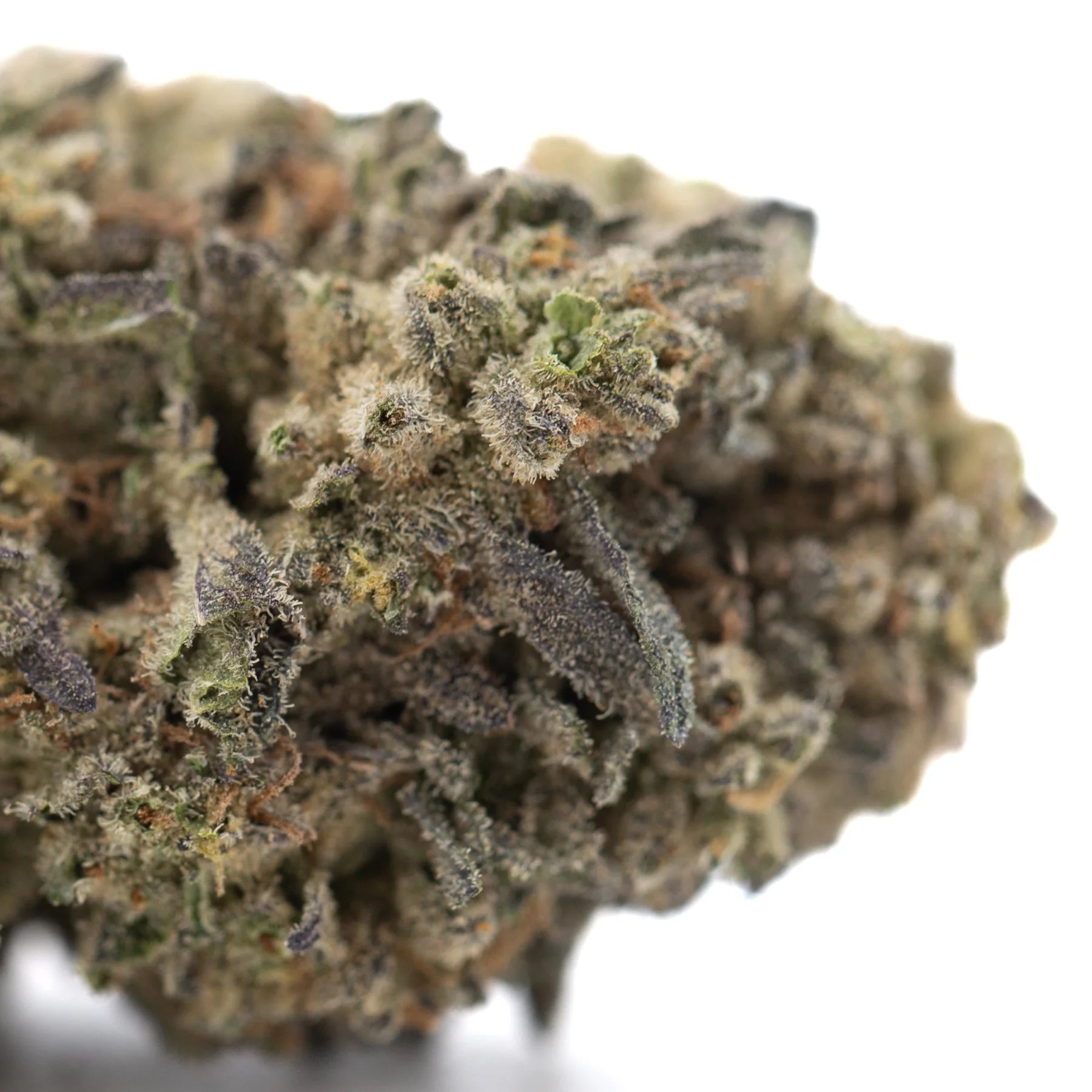 A dense indoor thca hemp flower bud from street guru with green and purple hues covered in fine trichomes