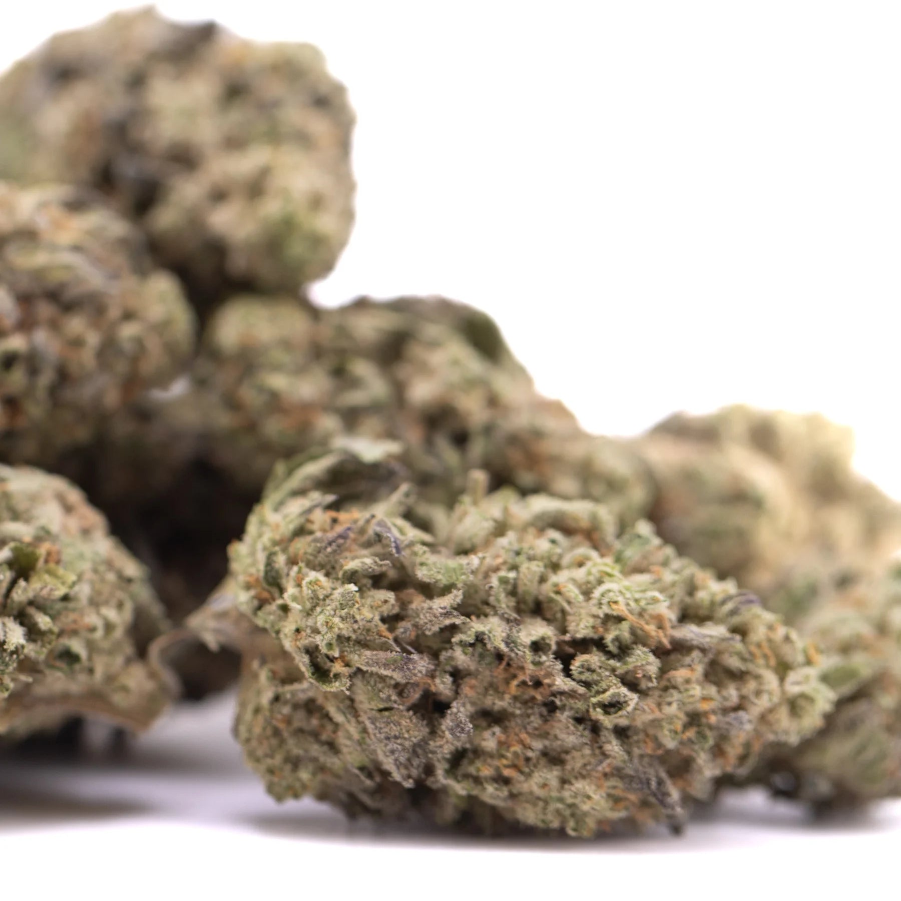 Green and brown dense frosty street guru indoor thca hemp flower buds showcasing high quality thca content