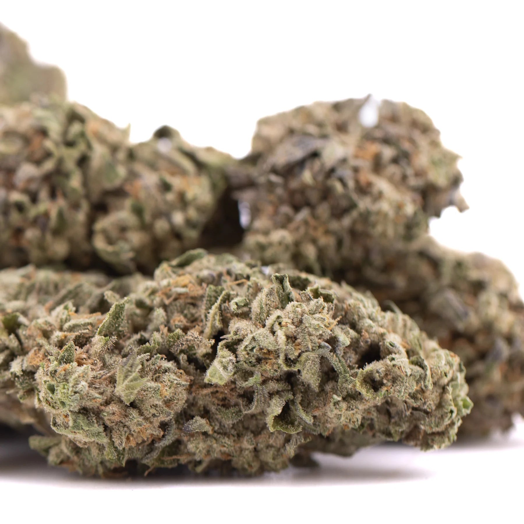 Mature street guru indoor thca hemp flower buds with dense frosty texture and greenish brown hues