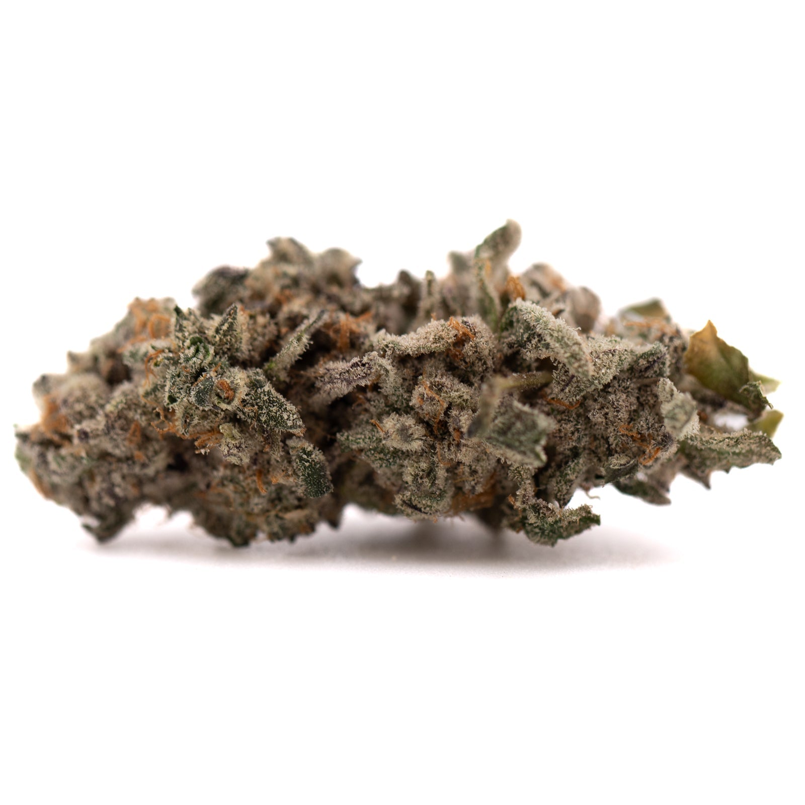 Dense frosty Street Tarts Indoor THCa Flower with purple coloration and orange hairs