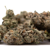 Dried Street Tarts Indoor THCa Flower with orange hairs and purple coloration