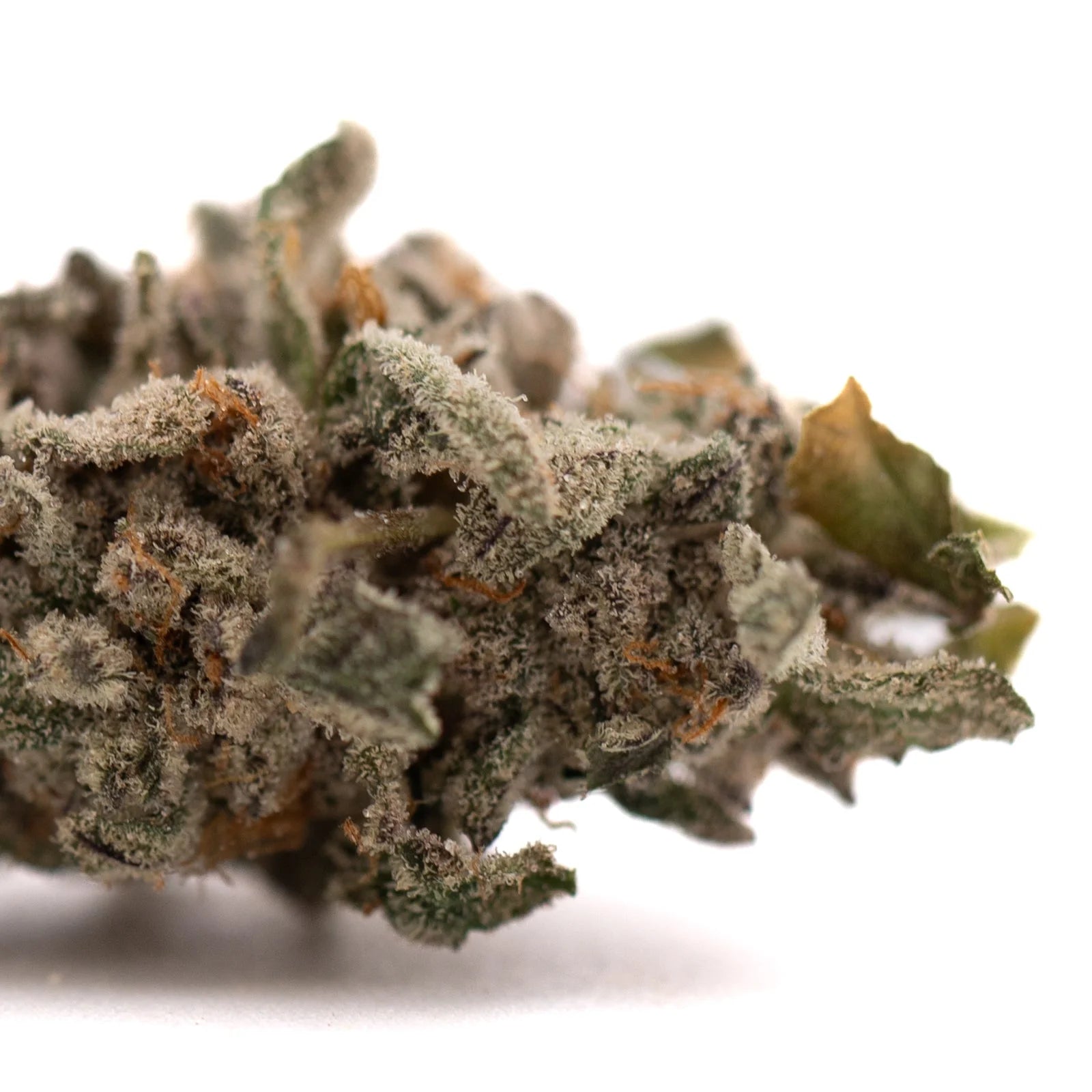 Street Tarts indoor THCa flower with purple coloration hemp bud covered in trichomes