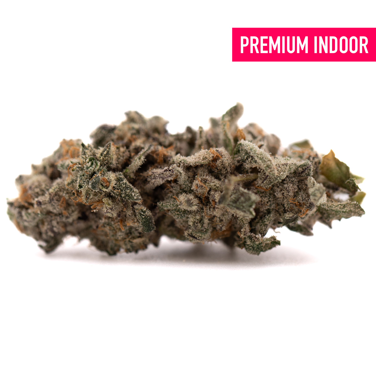 Dense frosty Street Tarts hemp flower with purple hues and orange hairs