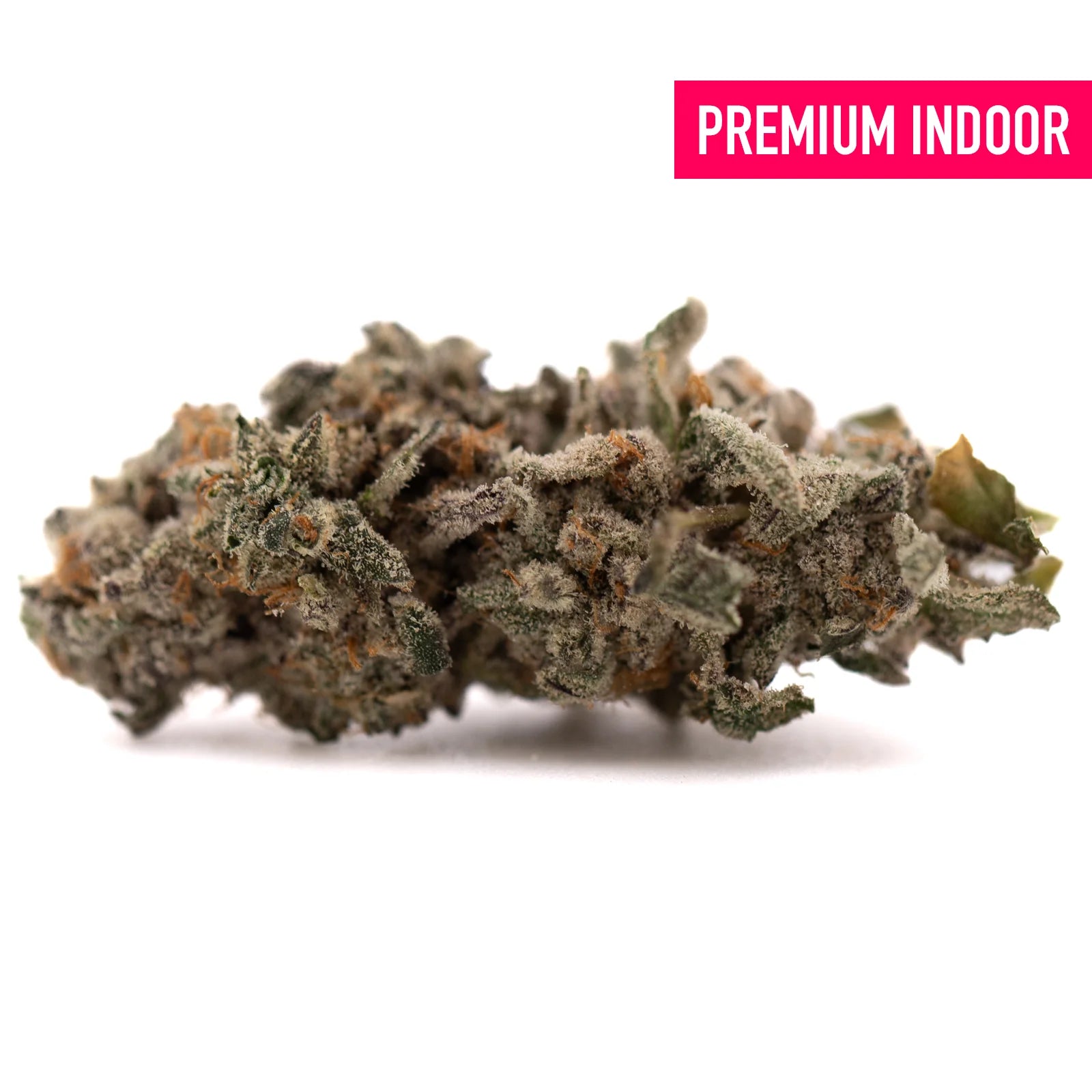 Dense frosty Street Tarts hemp flower with purple hues and orange hairs
