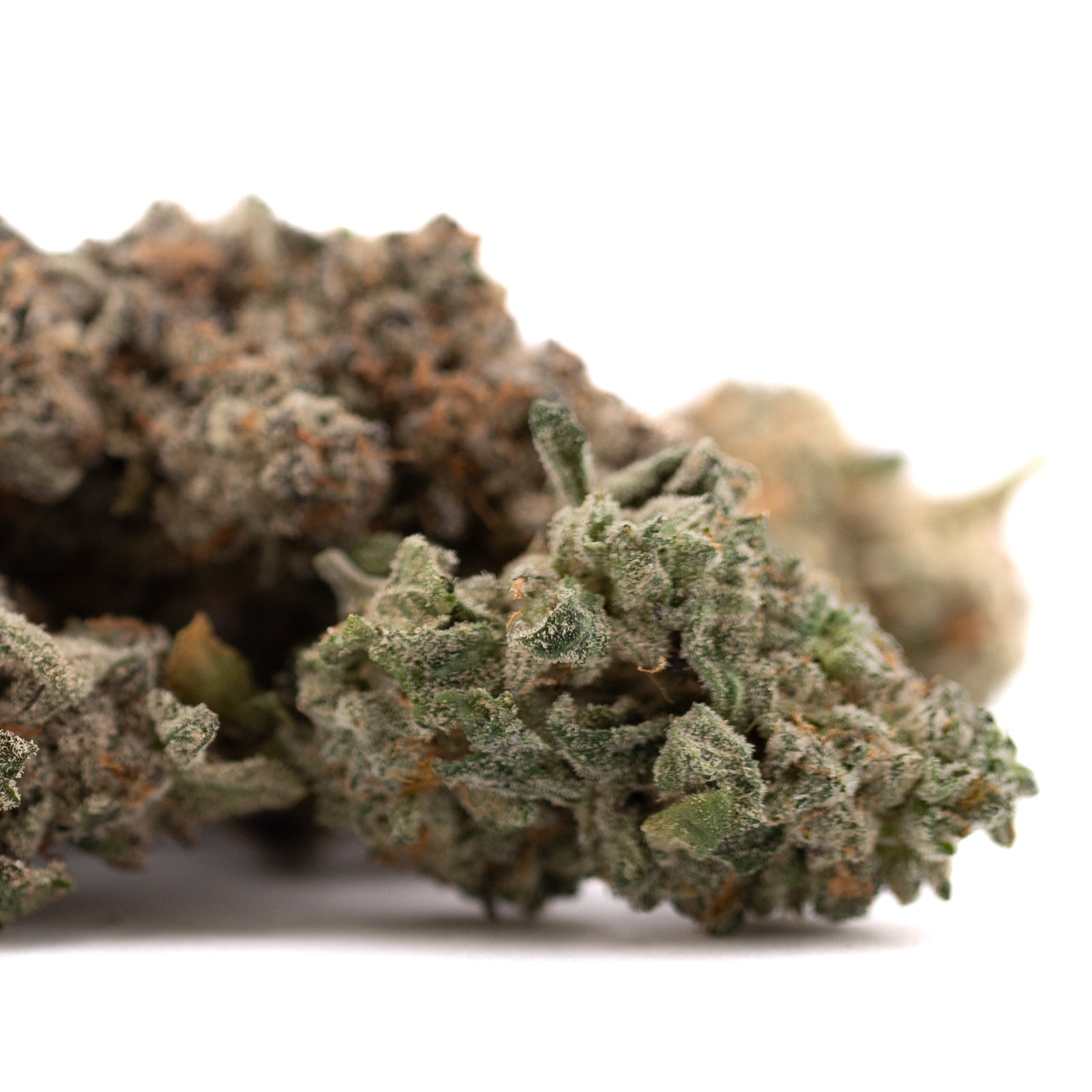 Dried hemp flower buds with orange hairs and purple coloration in Street Tarts Indoor THCa Flower Wholesale