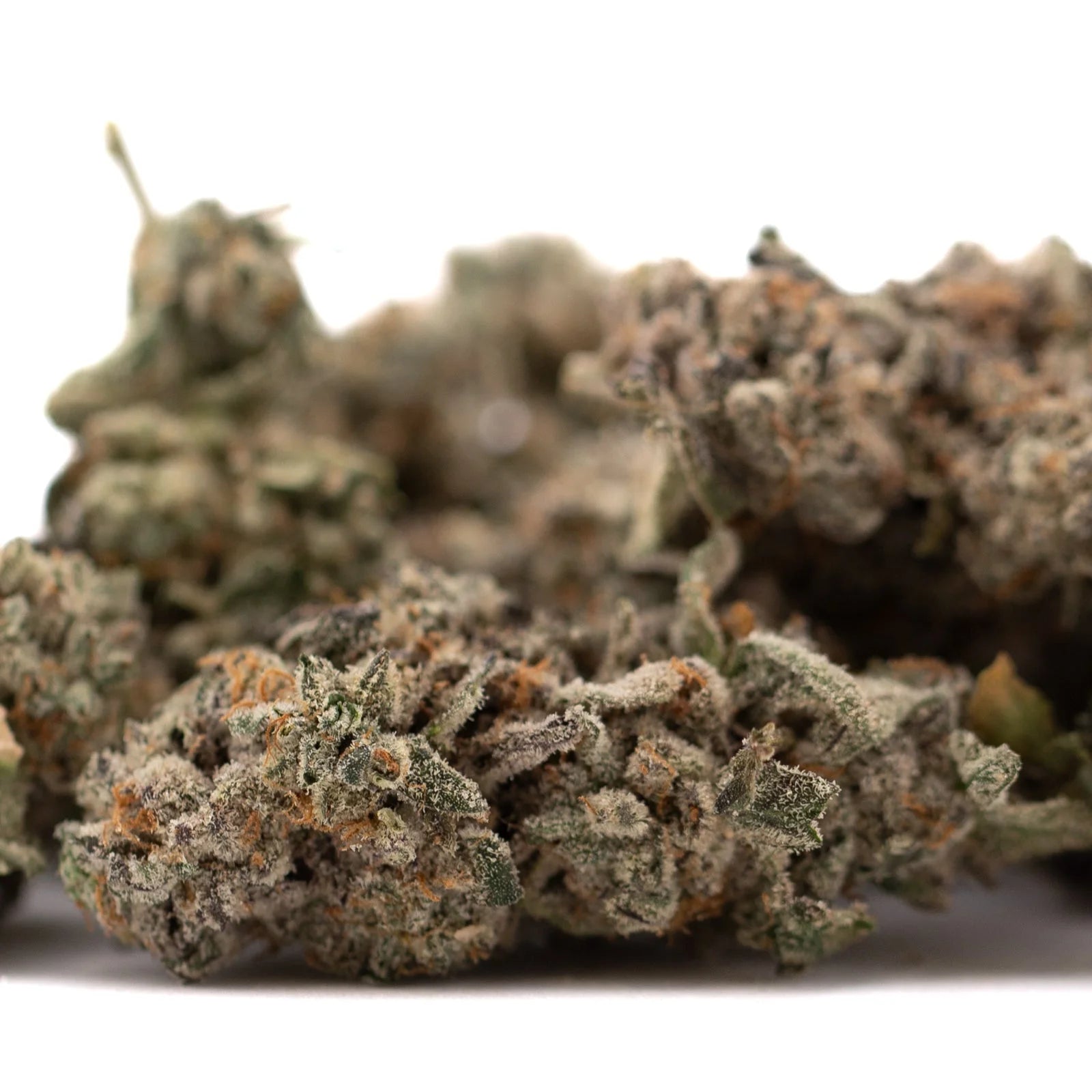 Street Tarts indoor THCa flower with purple coloration and dried hemp buds coated in trichomes