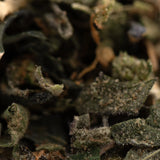 Dense dark green street tarts indoor thca trim wholesale cannabis bud with white trichomes and brownish orange pistils