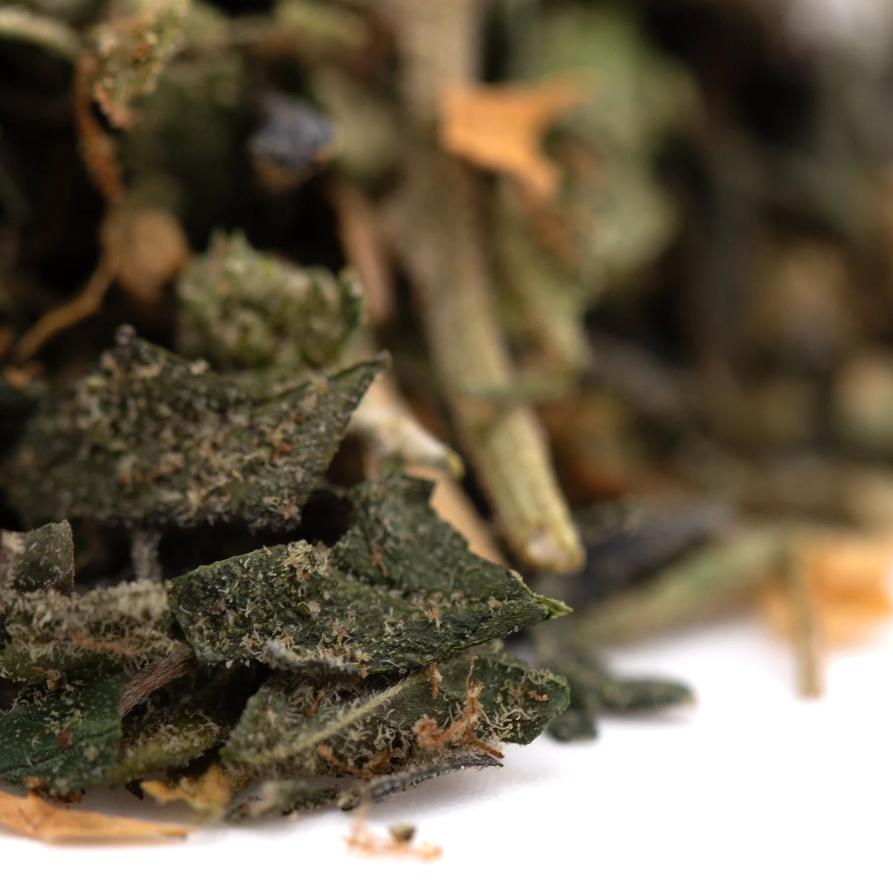 Dried green indoor hemp flower thca trim wholesale with textured leaves and brown stems from street tarts guava tart