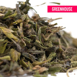 Dried cannabis leaves of studio 54 greenhouse thca trim in green and brown hues covered in fine trichomes with cultural branding
