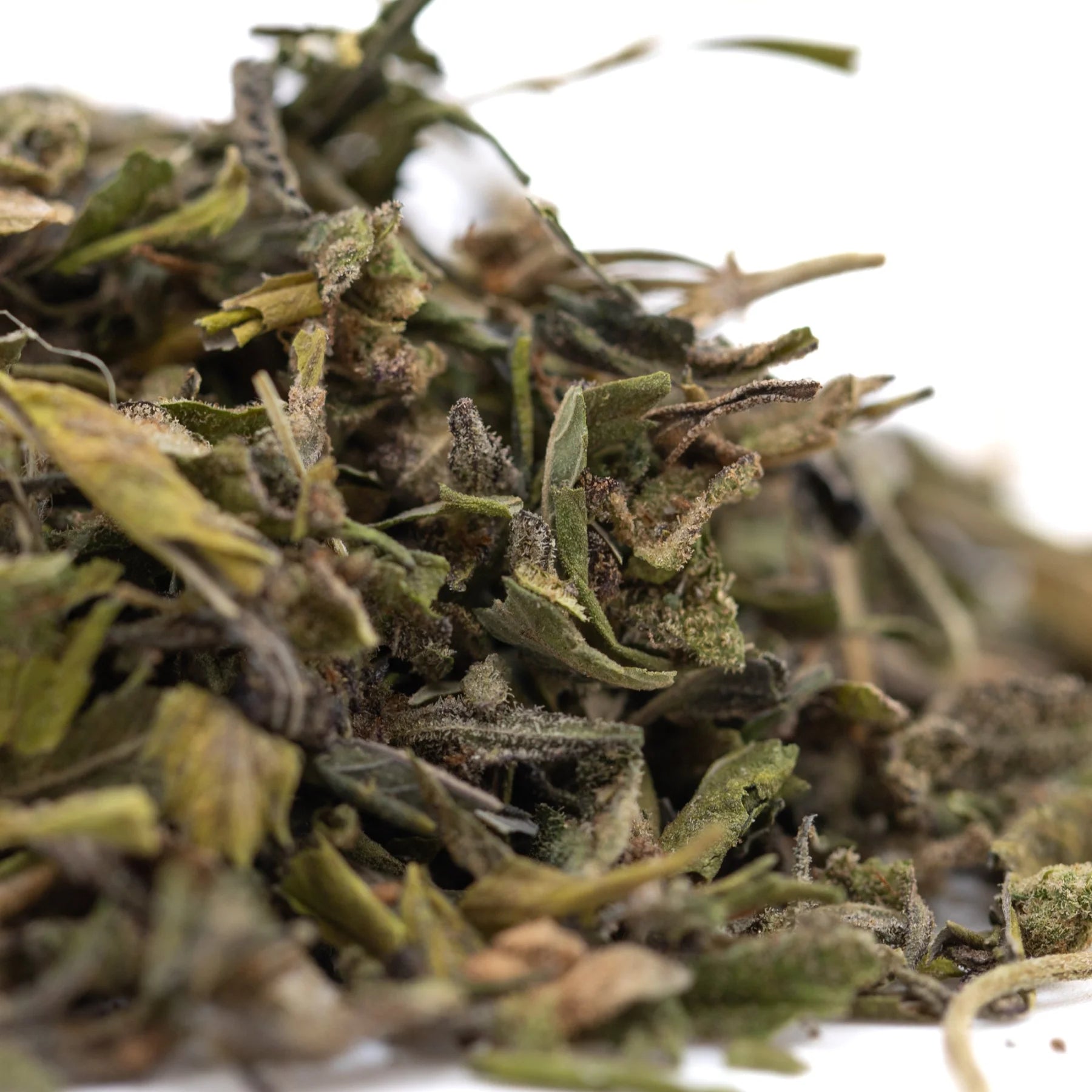 A pile of dried greenish brown greenhouse thca trim leaves with a fuzzy texture for studio 54 sunset sherbet cultural branding