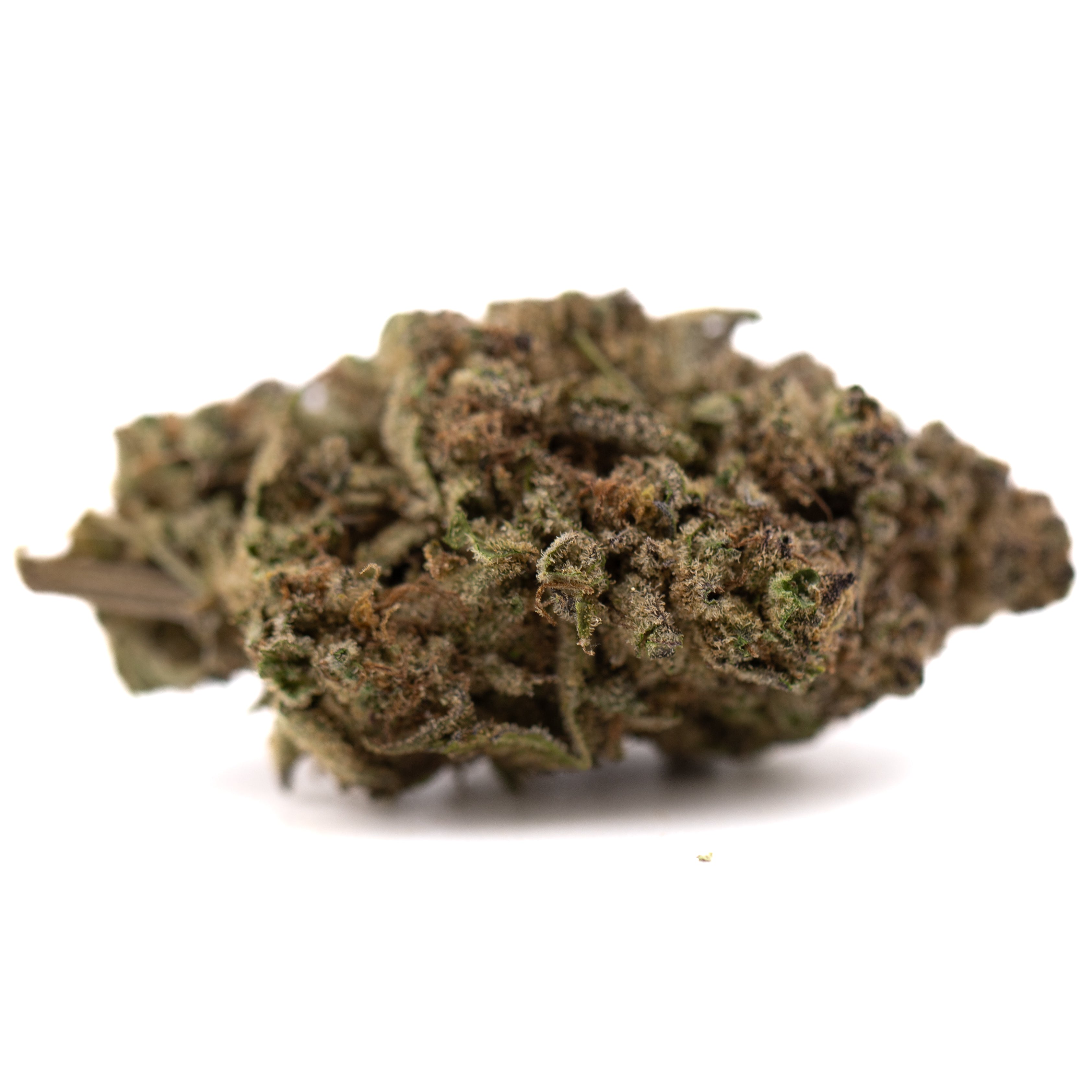 Studio 54’s mood brightening THCa hemp flower bud with green and brown hues