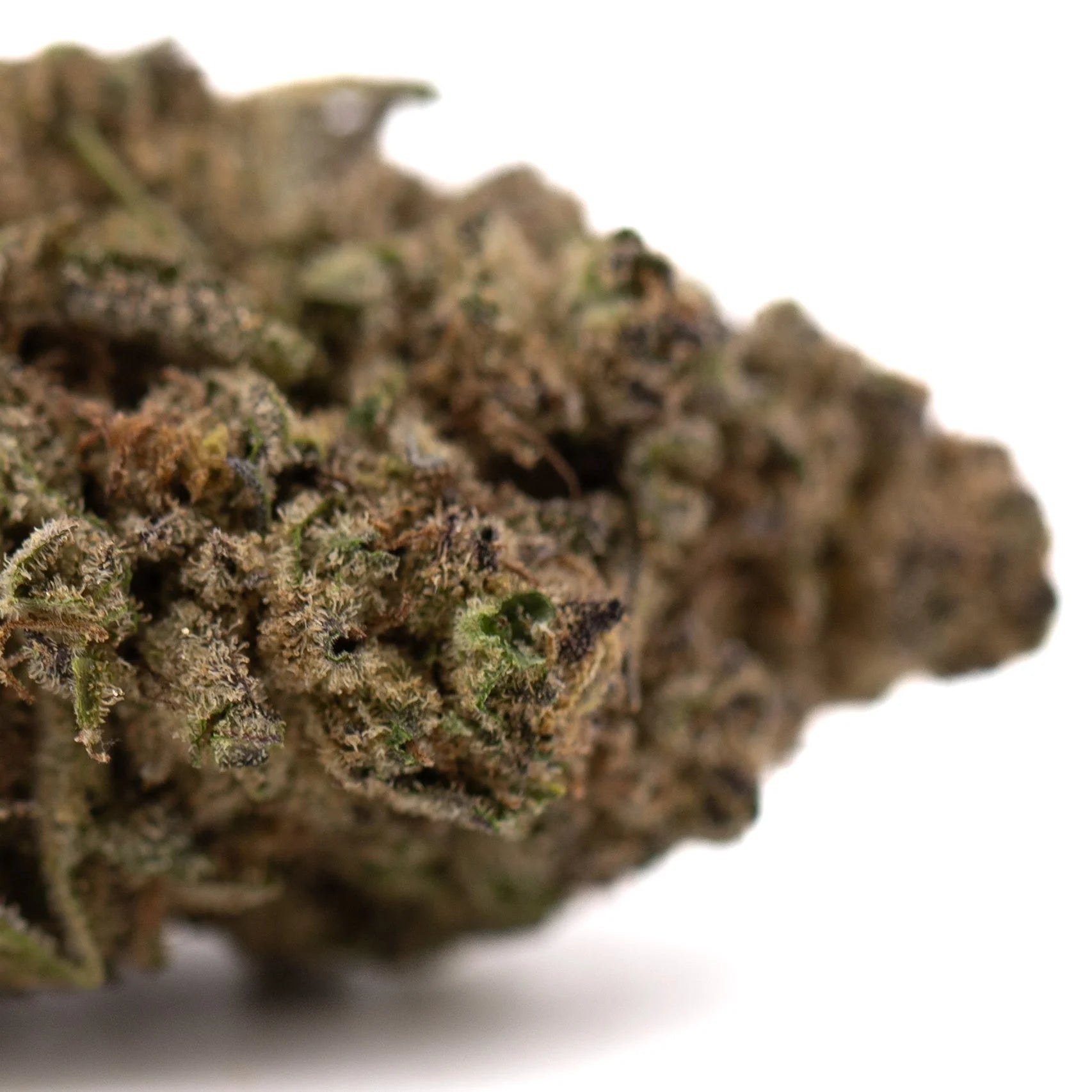Studio 54’s mood brightening THCa hemp flower bud with green and purple hues, covered in trichomes