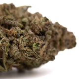 Studio 54’s mood brightening THCa hemp flower bud with green and purple hues, covered in trichomes