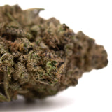 Studio 54’s mood brightening THCa hemp flower bud with green and purple hues, covered in trichomes